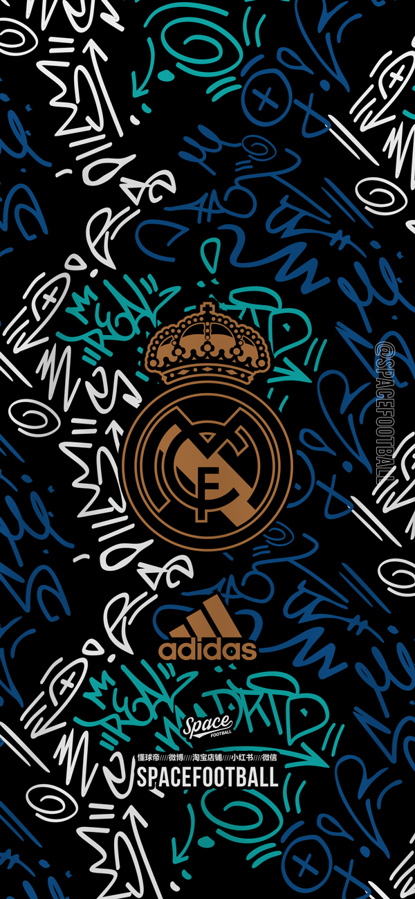 自由式滑雪 自由式滑雪