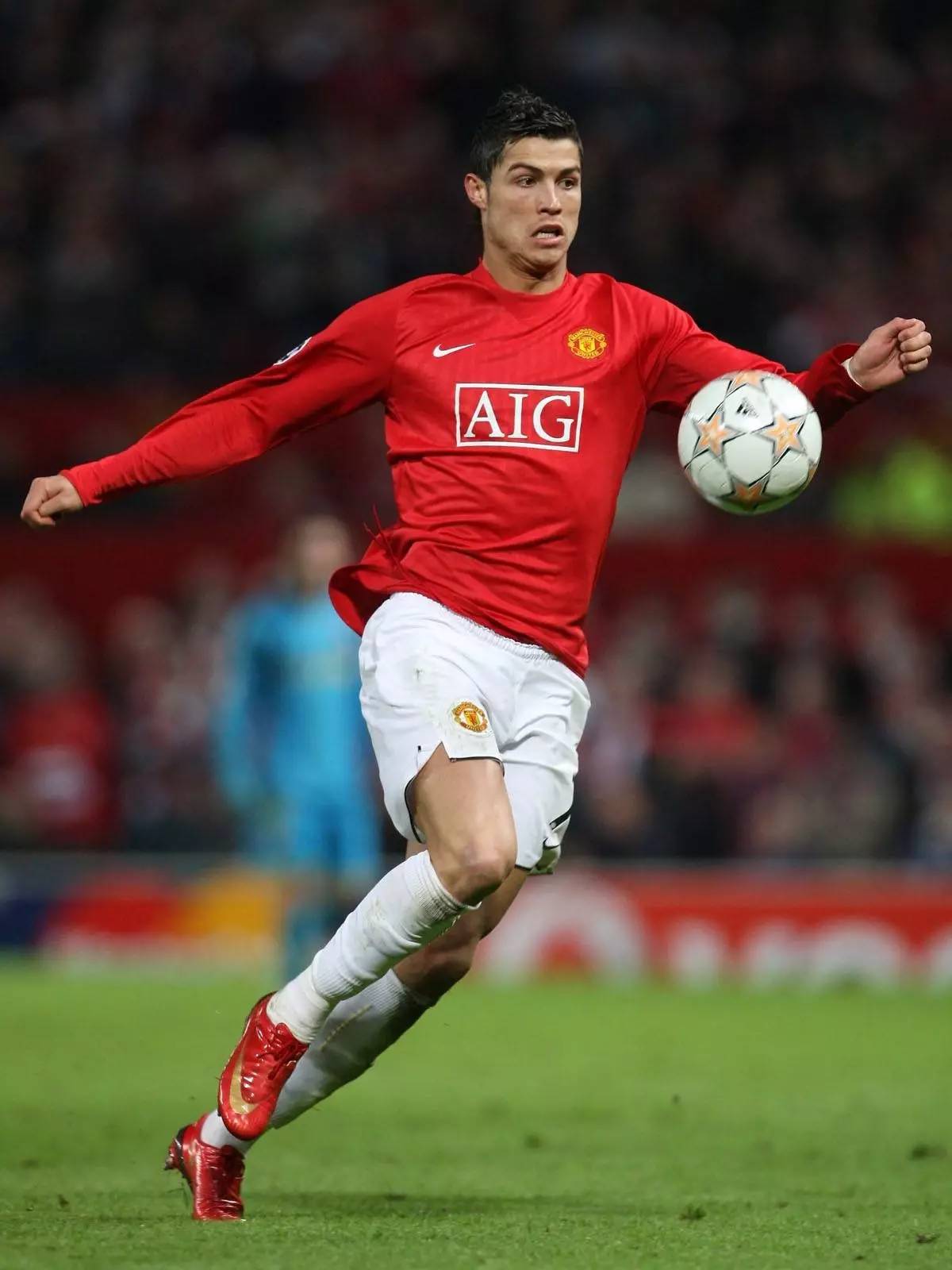 亚马的护筐 亚马的护筐